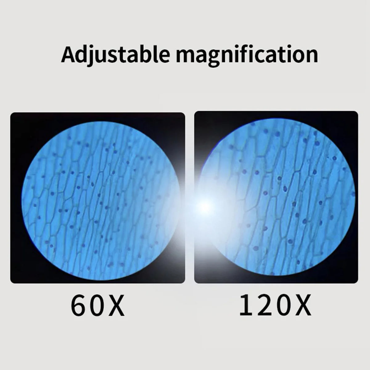 Mini Handheld Microscope