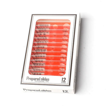 Microscope Specimen Slides Set